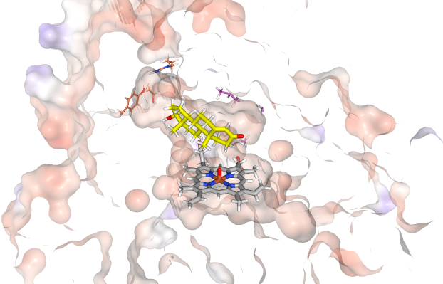 thumbnail of Selective oxidation of testosterone by P450 BM3