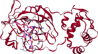 thumbnail of Coronavirus MPro protease