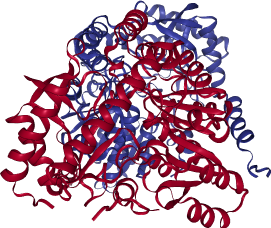 thumbnail of 5'-Aminolevulinate synthase, erythoid-specific (ALAS2)