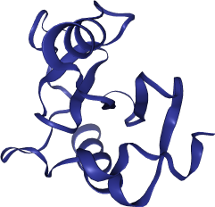 thumbnail of Human Histone  Deacetylase 6 (HDAC6)