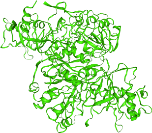 thumbnail of Mapping of 3-oxoacid CoA Transferase 1 (OXCT1) Mutants