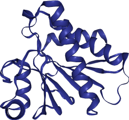 thumbnail of Human Poly (ADP-ribose) Polymerase Family Member 14 (PARP14)