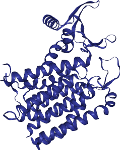 thumbnail of Human Dolichyl-Phosphate Alpha-N-Acetyl glucosaminyl transferase (DPAGT1)