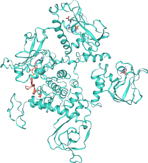 thumbnail of cGMP-dependent protein kinase 2 (PRKG2 encoded)