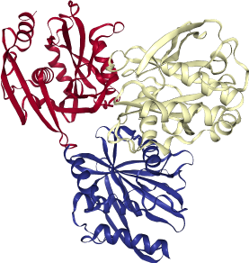 thumbnail of Human Peroxisomal Coenzyme A Diphosphatase NUDT7 (NUDT7)