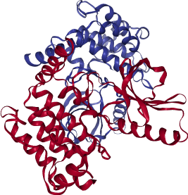 thumbnail of Human Receptor-Interacting Serine/Threonine-Protein Kinase 2 (RIPK2)