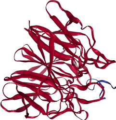 thumbnail of Human Kelch-like protein 20 (KLHL20)