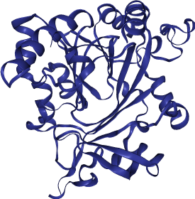 thumbnail of Lysine Demethylase JMJD1B (KDM3B)