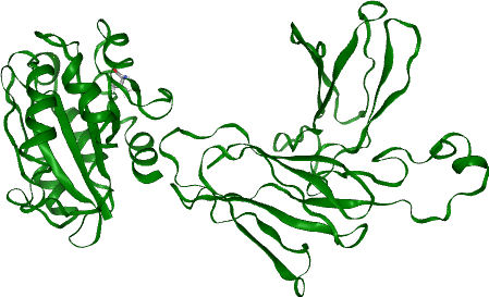 thumbnail of von Willebrand factor A domain-containing protein 1