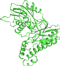 thumbnail of TEP - Human Galactose-1-phosphate uridylyltransferase (GALT), Galactokinase 1 (GALK1)